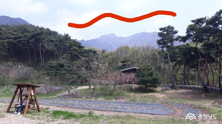 다섯을 잃고, 열을 채운 신원사 다녀온 날 9
