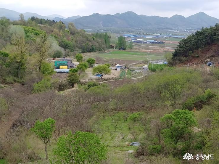 논개 소나무가 있는 요룡리 마을