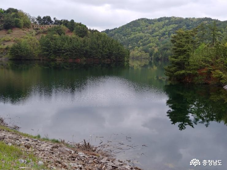 산물이 가득 담겨 산 거울이 된 요룡저수지