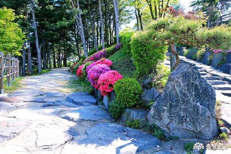 공주 5월 산책하기 좋은 곳, 천주교 황새바위 순례성지 4