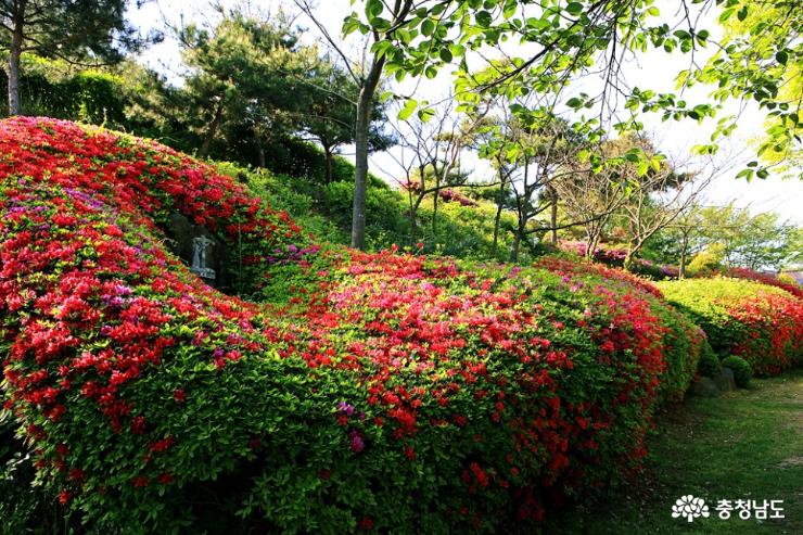 공주 5월 산책하기 좋은 곳, 천주교 황새바위 순례성지 사진