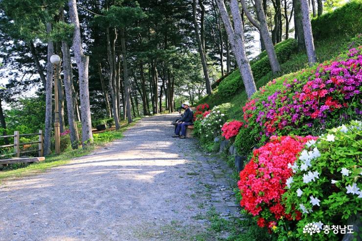 공주 5월 산책하기 좋은 곳, 천주교 황새바위 순례성지 사진