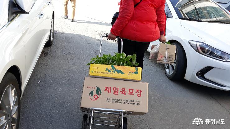 추억으로 차려 낸 밥상 예찬기 2