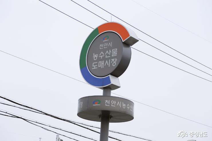 우리 농산물로 전하는 감사의 마음, 천안시 농수산물 도매시장 1