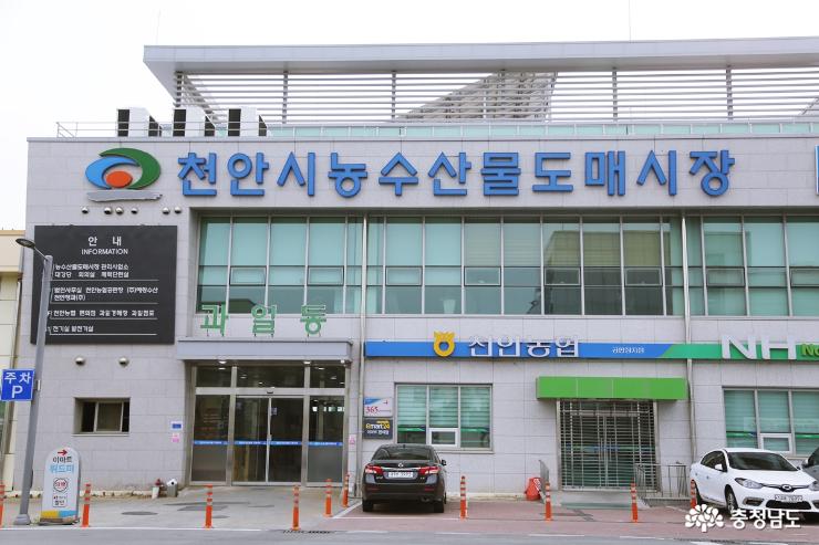 우리 농산물로 전하는 감사의 마음, 천안시 농수산물 도매시장 10