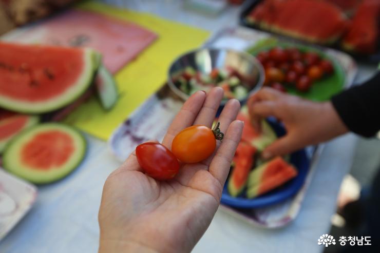 2019 충남 농촌융복합산업한마당 소비자와 만나는 열린 마당 사진