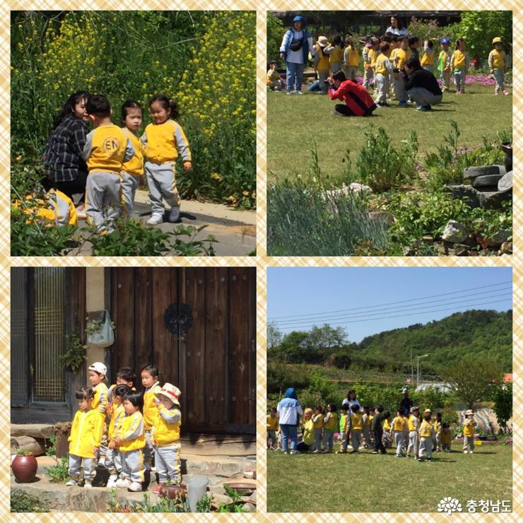 노란 어린이떼들 자연친화적 체험 놀이