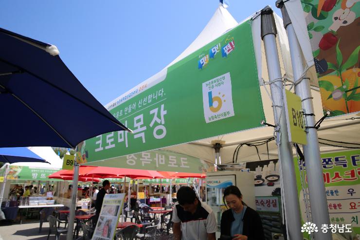 홍성에서 유명한 것은 무엇일까요? 1