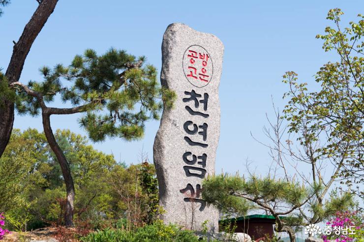 여행 - 하늘빛을 닮은 쪽 염색으로 자연을 누릴 수 있는 공방 고운 - 충남넷 미디어 하늘빛을 닮은 쪽 염색으로 자연을 누릴 수 있는 공방 고운