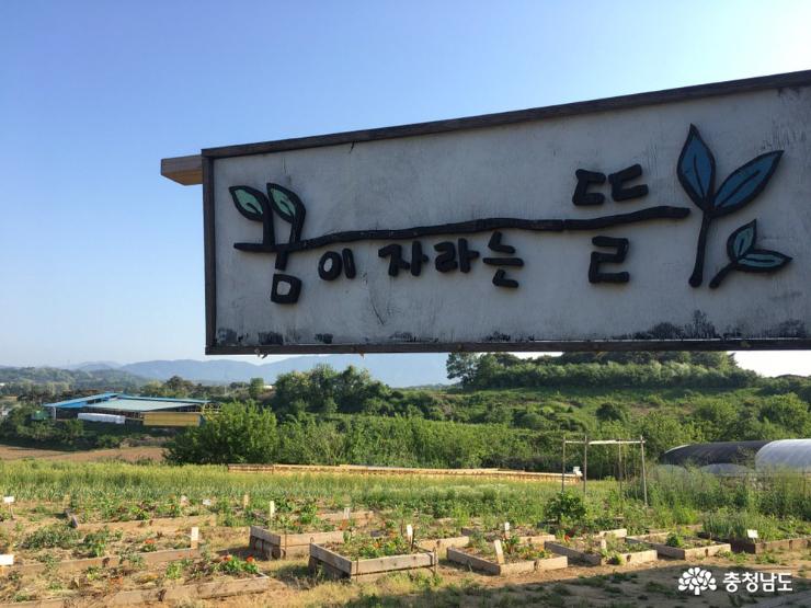 발달장애청소년을 위한 교육농장, 장애와 함께 일하는 돌봄농장