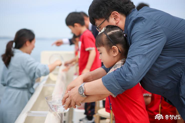 천수만 해역 어린 대하 1천만 마리 최초 공동 방류 사진