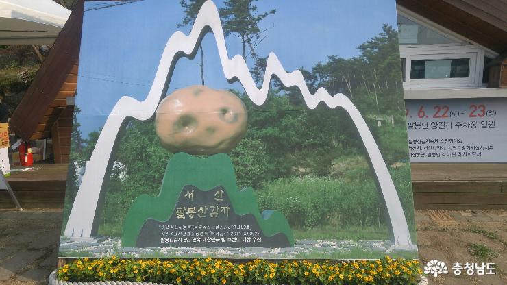 팔봉산 감자축제, 구경도 입맛도 10점 만점에 10점