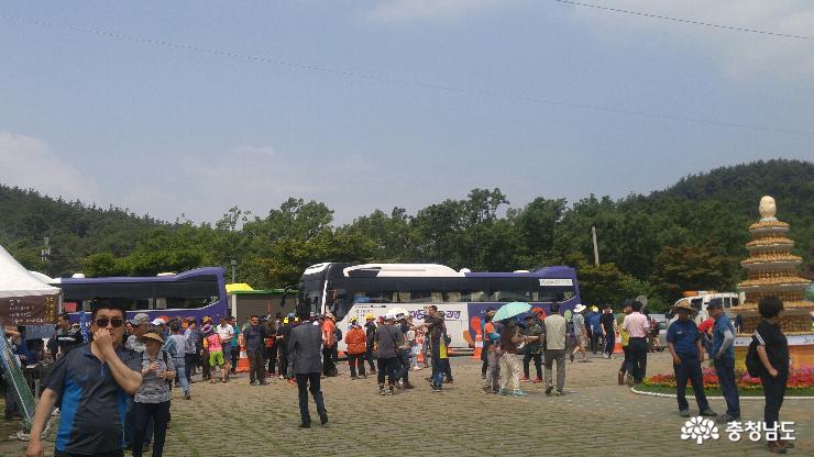 팔봉산감자축제구경도입맛도10점만점에10점 3