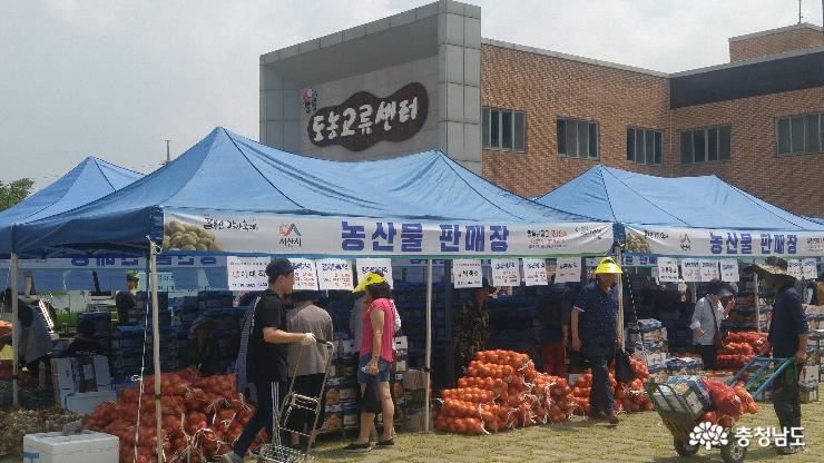 팔봉산감자축제구경도입맛도10점만점에10점 4