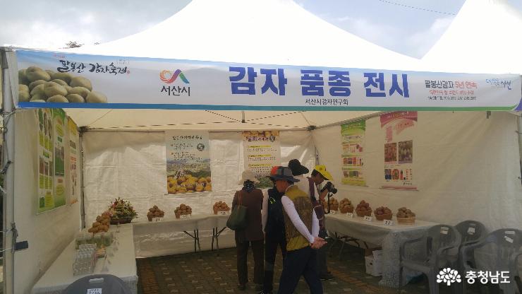 팔봉산 감자축제, 구경도 입맛도 10점 만점에 10점 5