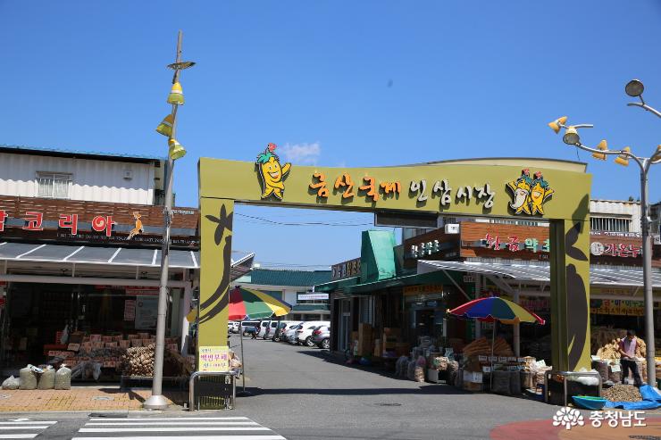 약초고장 금산에서 장보고 간단요리 만들기 1