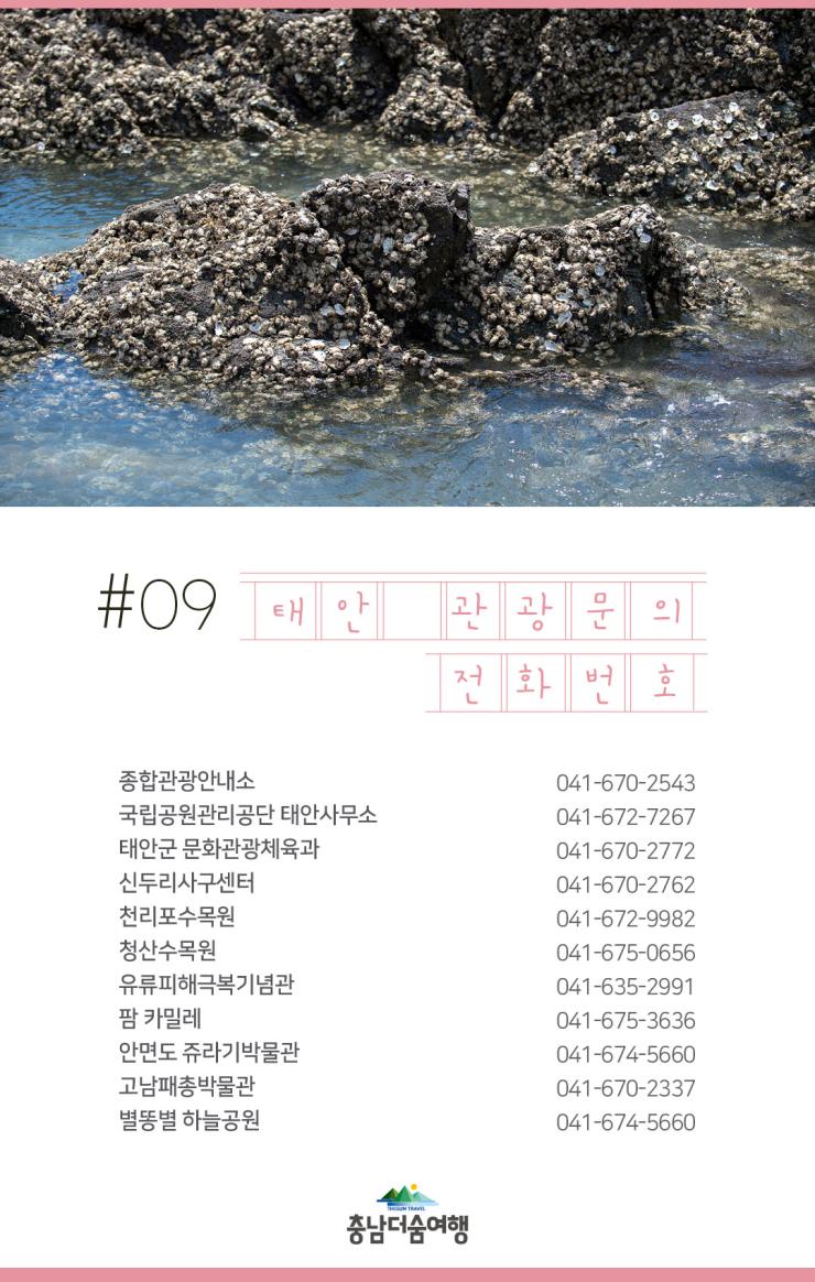 충남더숨여행-태안 관광문의 전화번호