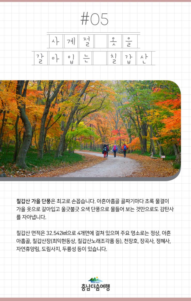 충남더숨여행-청양 사계절 옷을 갈아입는 칠갑산