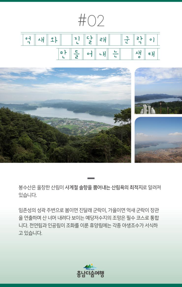 충남더숨여행-예산 봉수산휴양림 억새와 진달래 군락