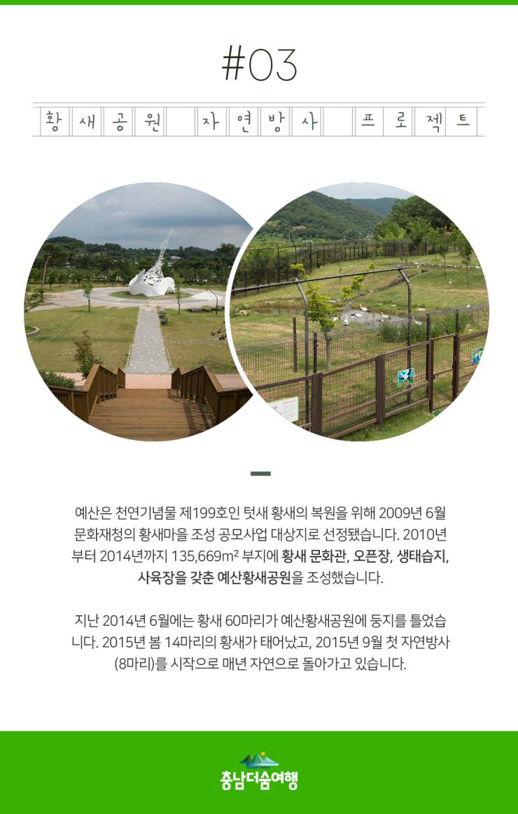 충남더숨여행-예산 황새공원 자연방사 프로젝트