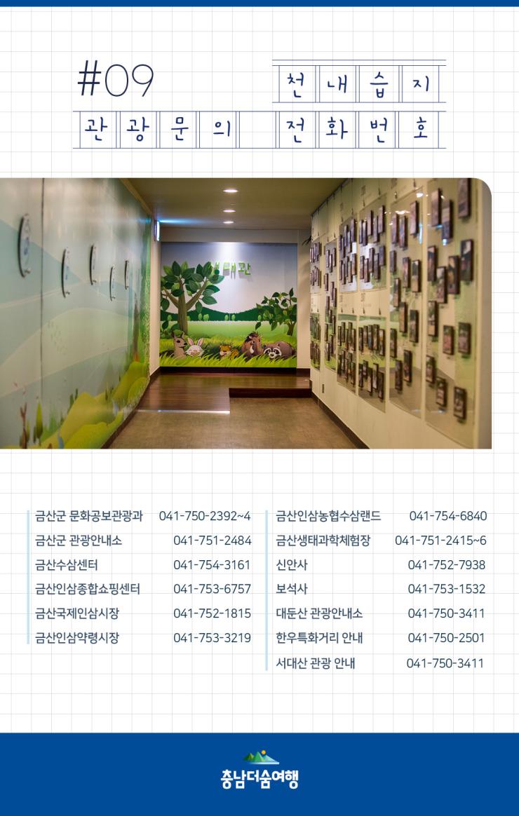 충남더숨여행-금산 천내습지 관광문의 전화번호