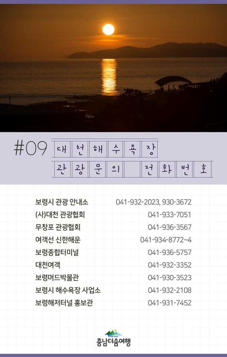 충남더숨여행-보령 대천해수욕장 관광문의 전화번호