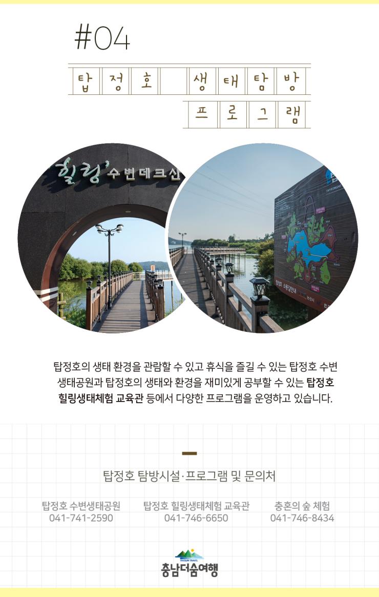 충남더숨여행-논산 탑정호 생태탐방 프로그램