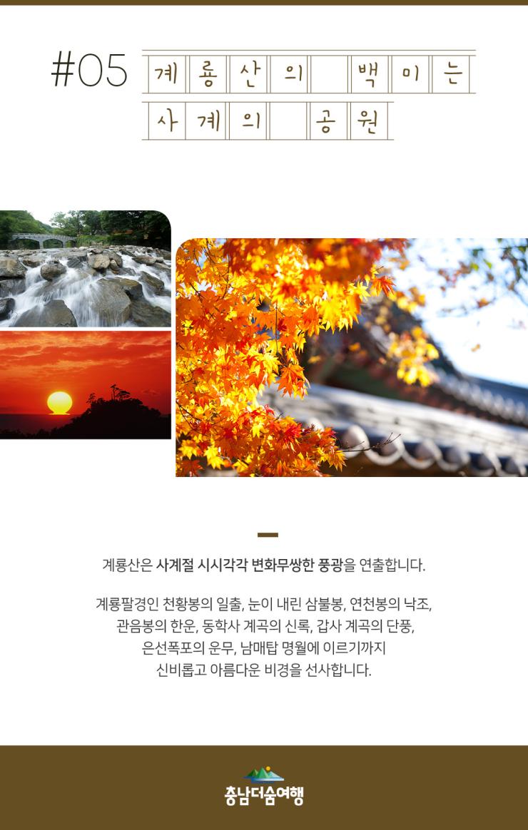 충남더숨여행-공주 계룡산 사계의 공원