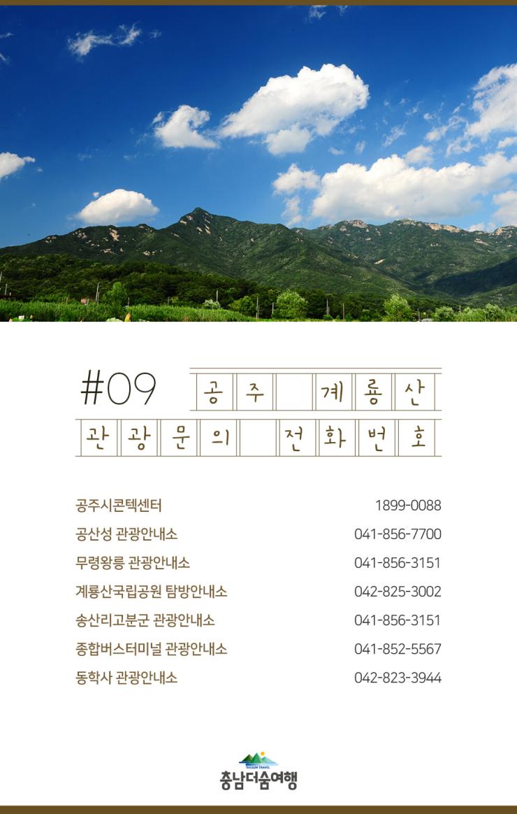 충남더숨여행-공주 계룡산 관광문의 전화번호