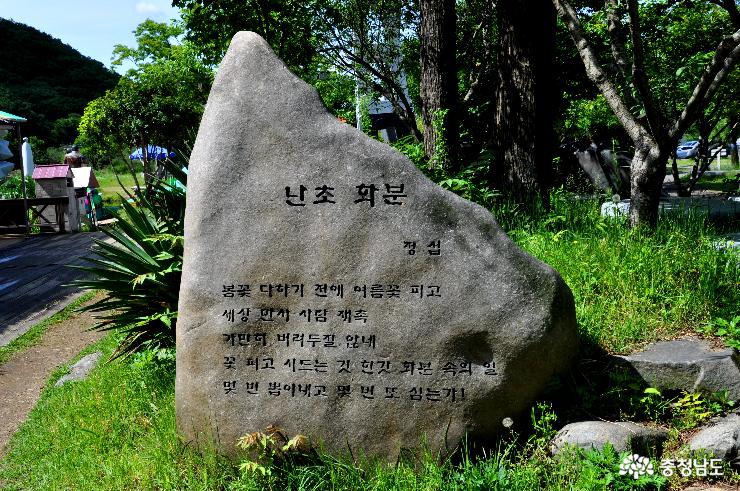 시비