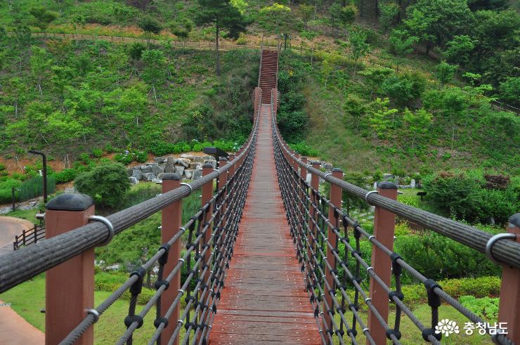출렁다리