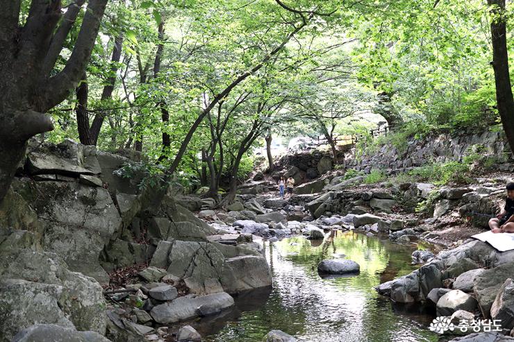 더운 여름 시원한 충남 아산 강당골계곡으로 피서 가요 사진