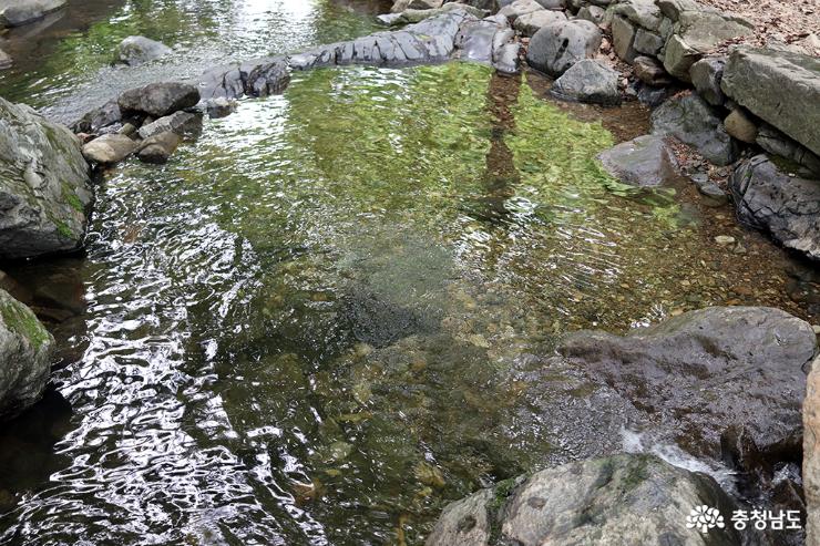 더운 여름 시원한 충남 아산 강당골계곡으로 피서 가요 사진