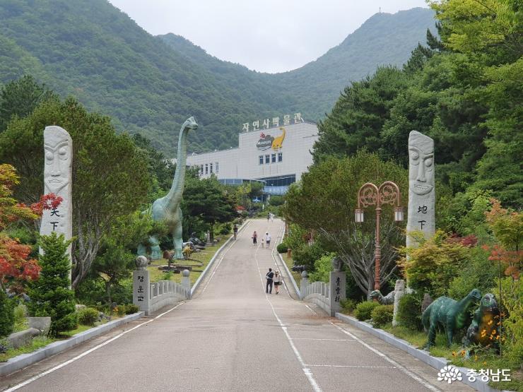 계룡산 자락에 위치하고 있는 박물관 1