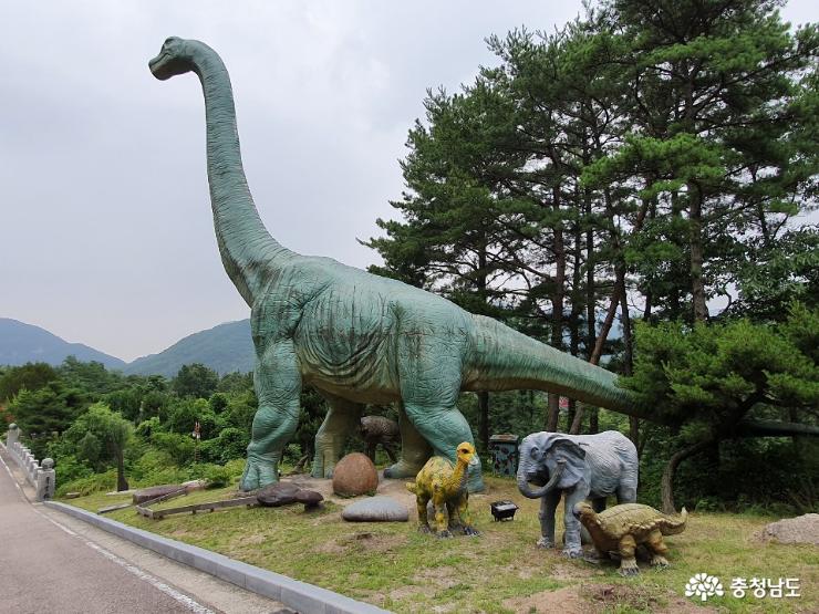 계룡산 자락에 위치하고 있는 박물관 사진