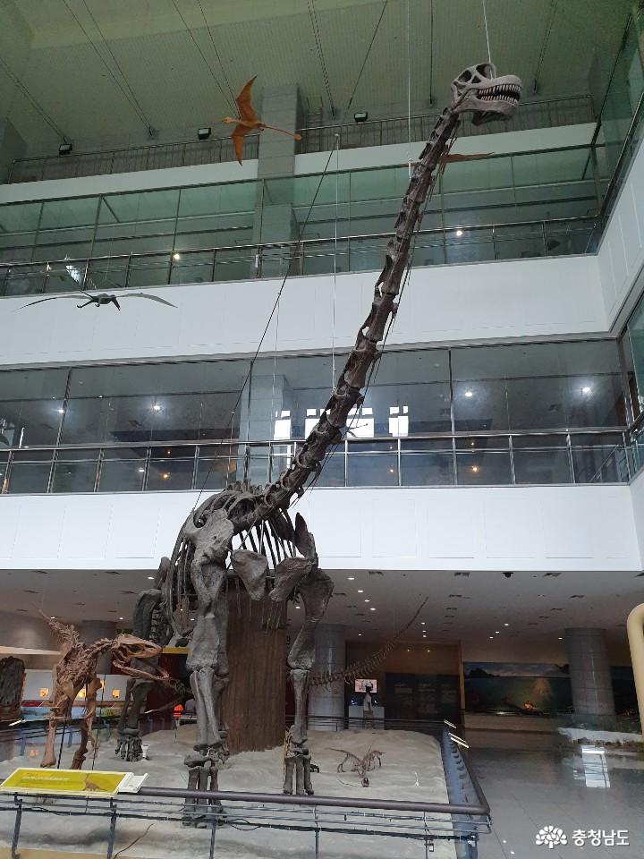 계룡산 자락에 위치하고 있는 박물관 4
