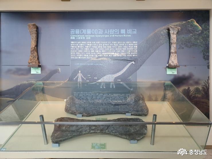 계룡산 자락에 위치하고 있는 박물관 사진