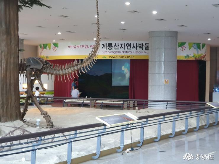 계룡산 자락에 위치하고 있는 박물관 7