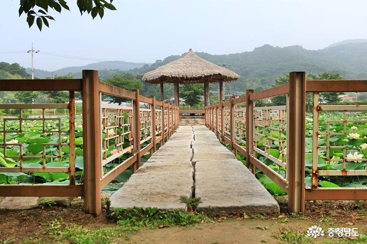 당진여행코스골정지면천향교 3