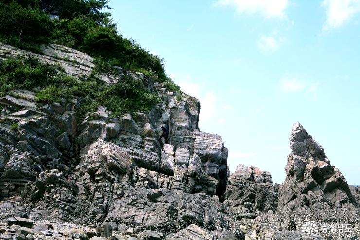 여름산행 서산 황금산 해안가 트레킹 사진