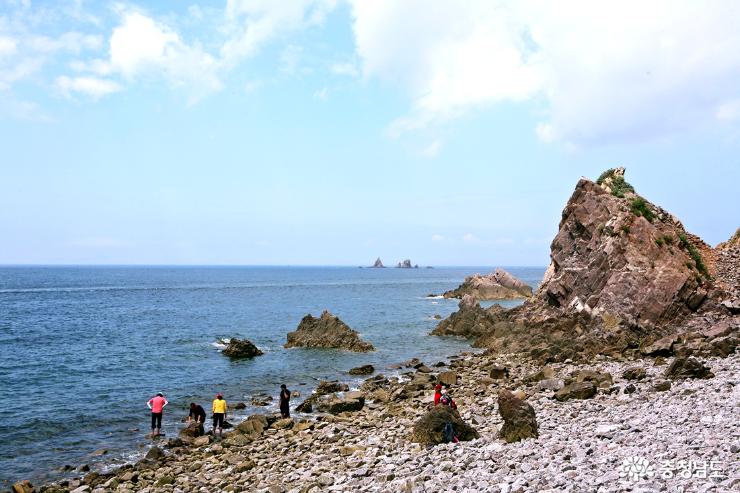 여름산행 서산 황금산 해안가 트레킹 사진