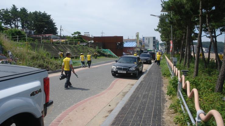 노인자원봉사클럽, 만리포서 환경 정화 펼쳐