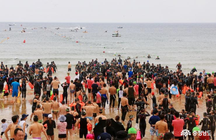 만리포 해변을 수놓은 바다수영대회 사진