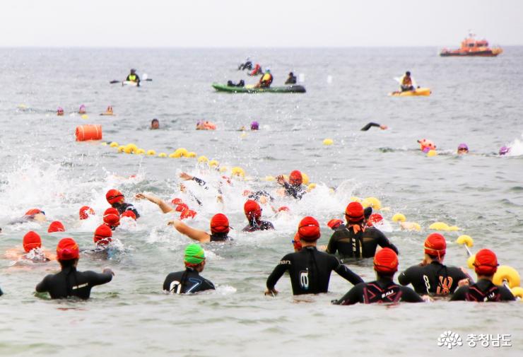 만리포해변을수놓은바다수영대회 4