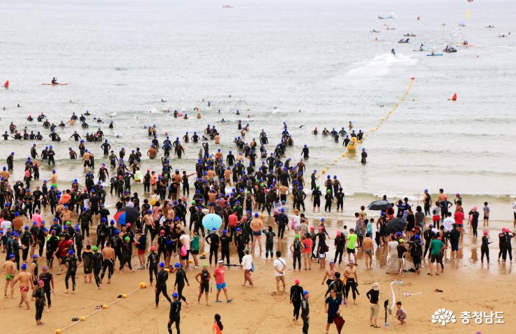 만리포 해변을 수놓은 바다수영대회 사진