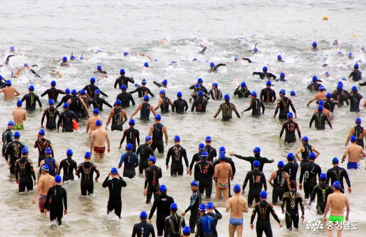 만리포해변을수놓은바다수영대회 6