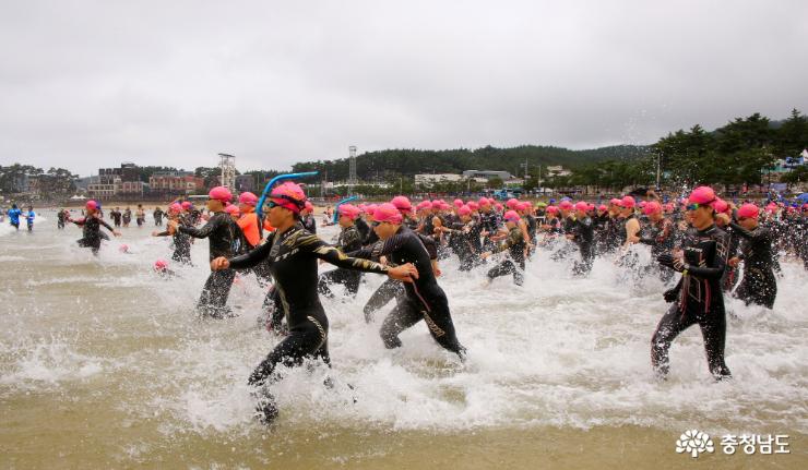 만리포해변을수놓은바다수영대회 7