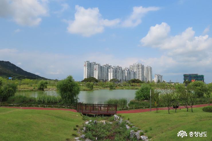내포 홍예공원 징검다리연못 산책길 여름 풍경