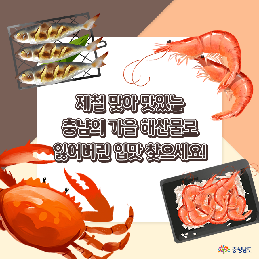 충남의 가을 해산물로 잃어버린 입맛 찾으세요!