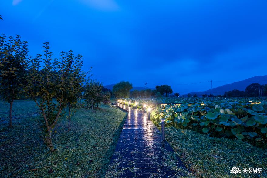 홍성 이응노 생가기념관의 야경